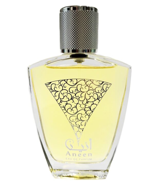 Aneen-by-Rasasi-100ml-02.jpg