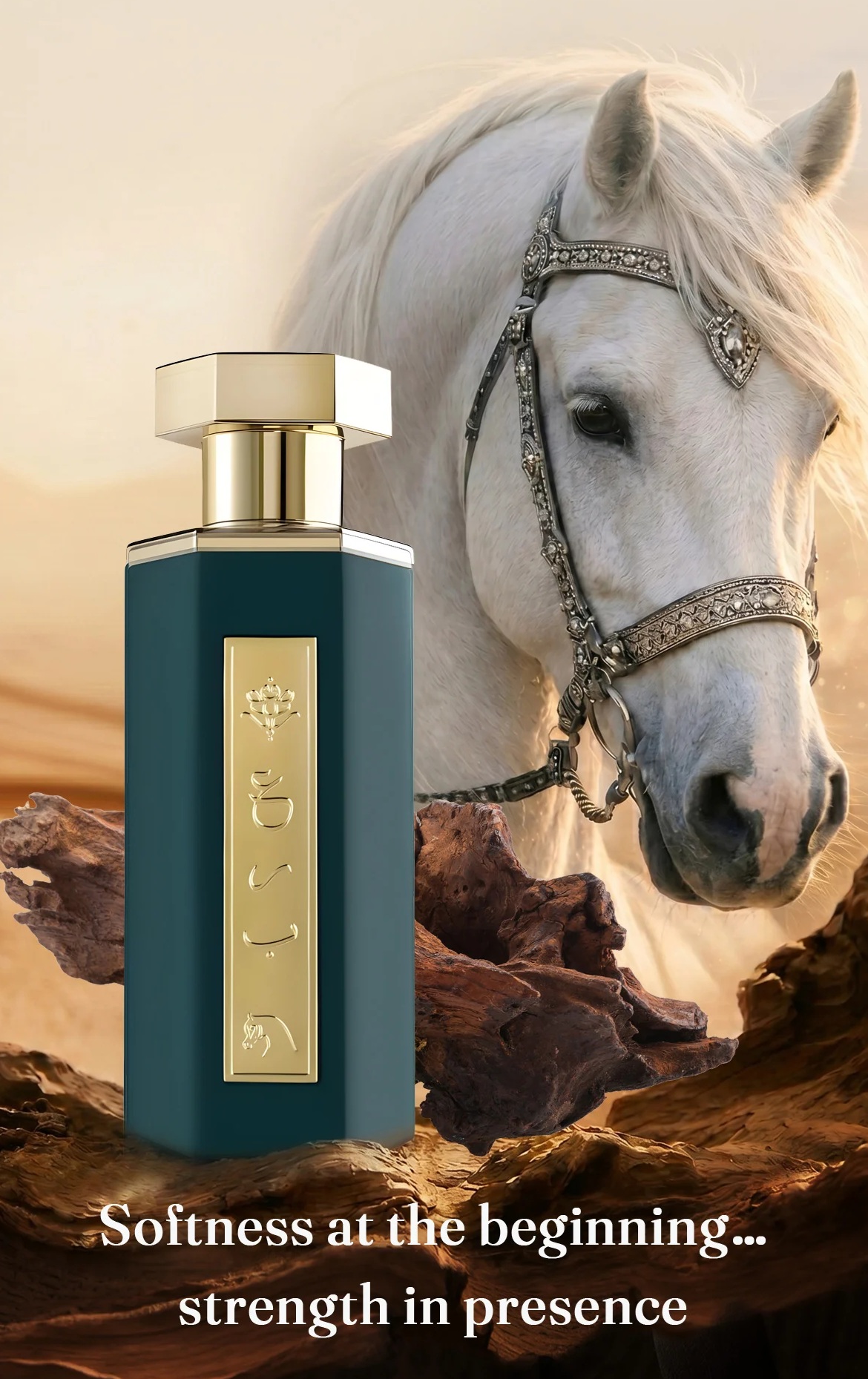 Reef Arab Obaya EAU de parfum